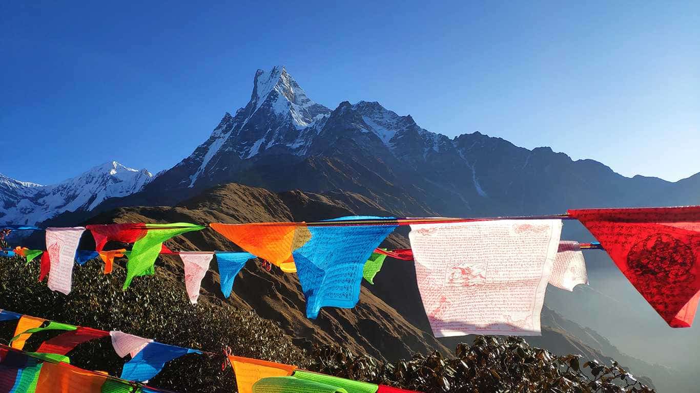 Mardi Himal Peak Climbing