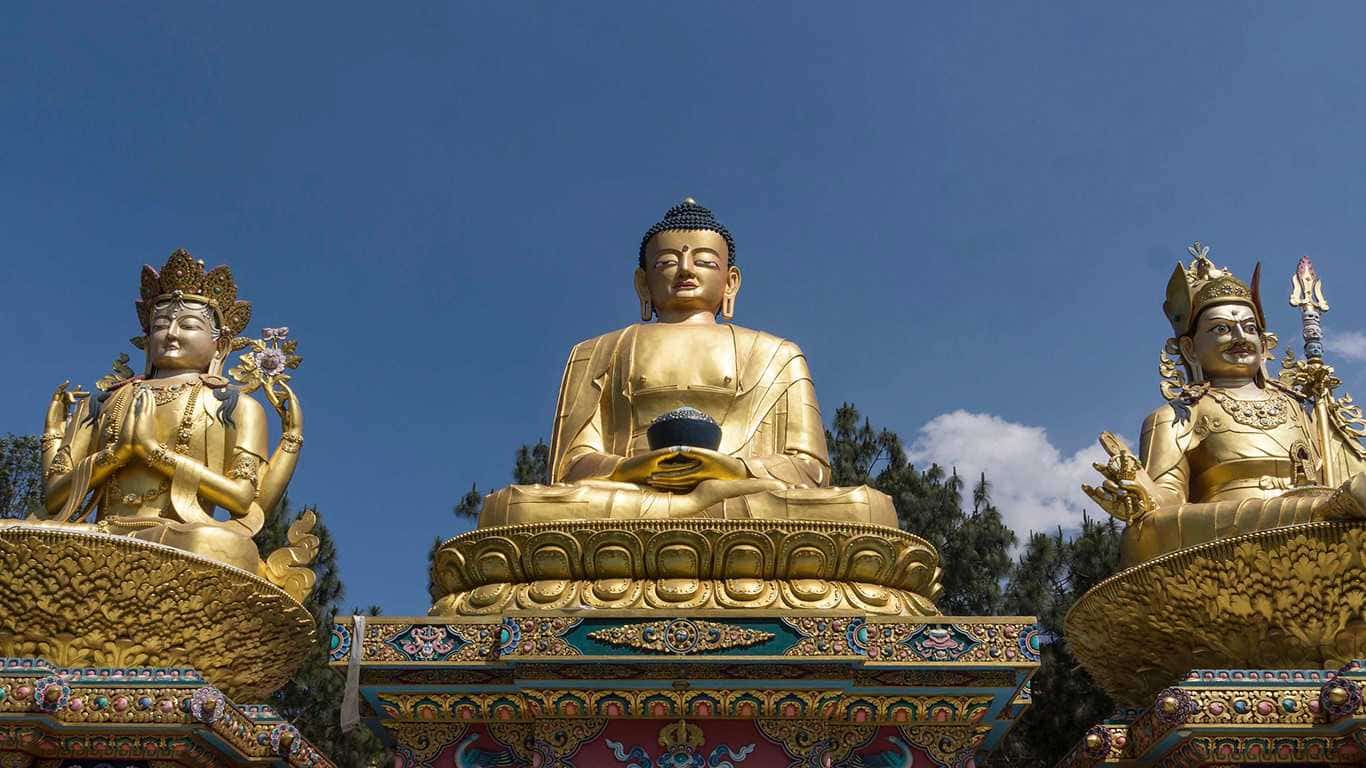 Buddhist Pilgrimage Tour India and Nepal