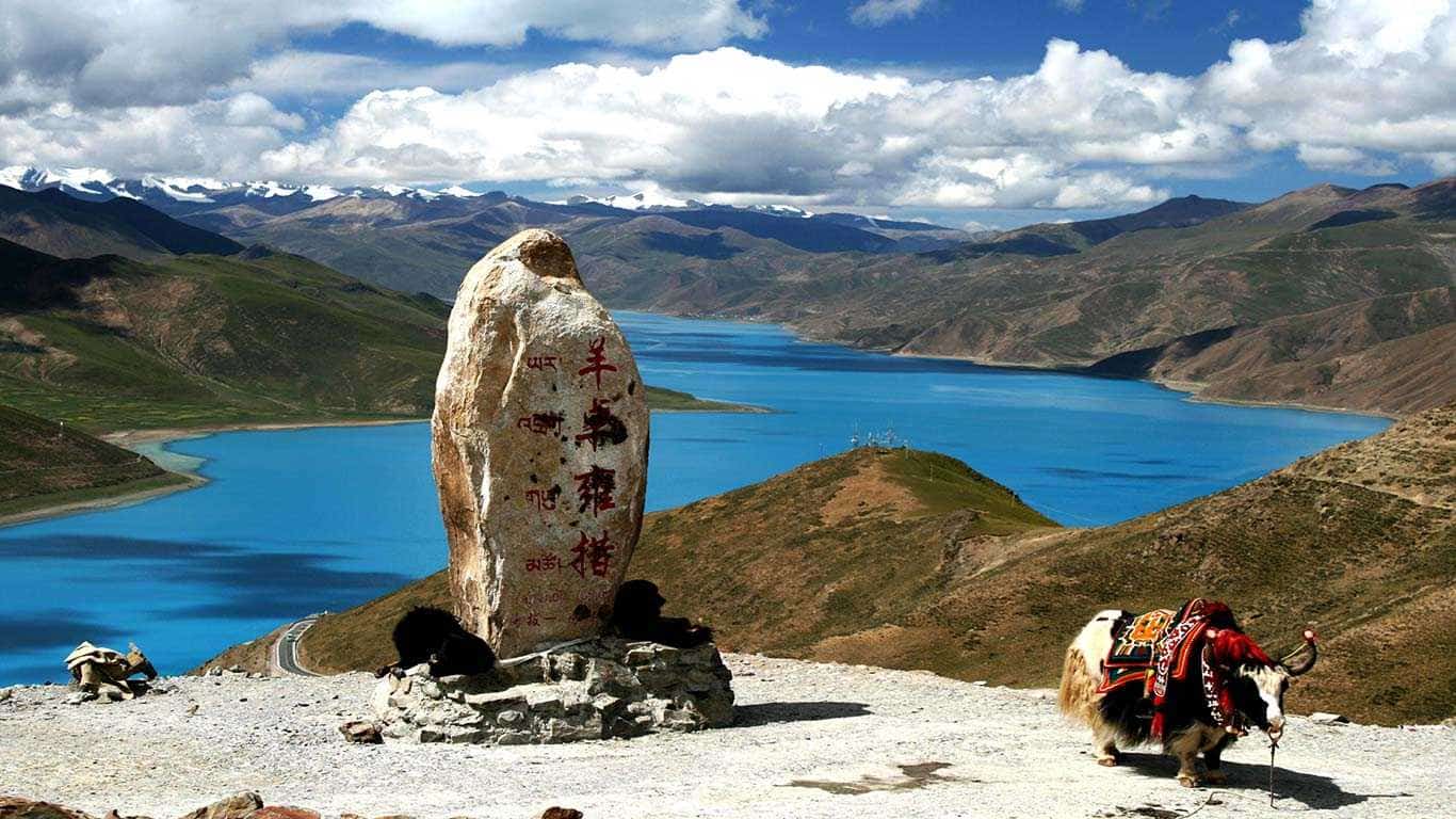Tibet Monastery Tour